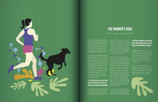 Issue Nine of Like the Wind Running Magazine - Image 4