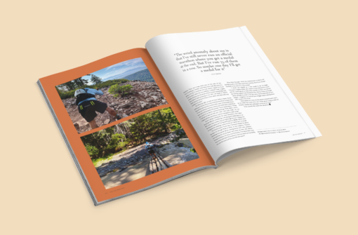 Discovery offer: 1 free mag, then ongoing Yearly Subscription incl. Shipping – Starting with LtW #45 - Image 4