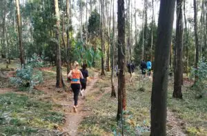 A photo of people running through a forest