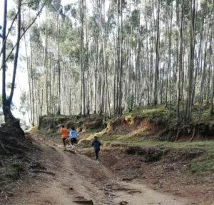 A photo of three people running through a forest