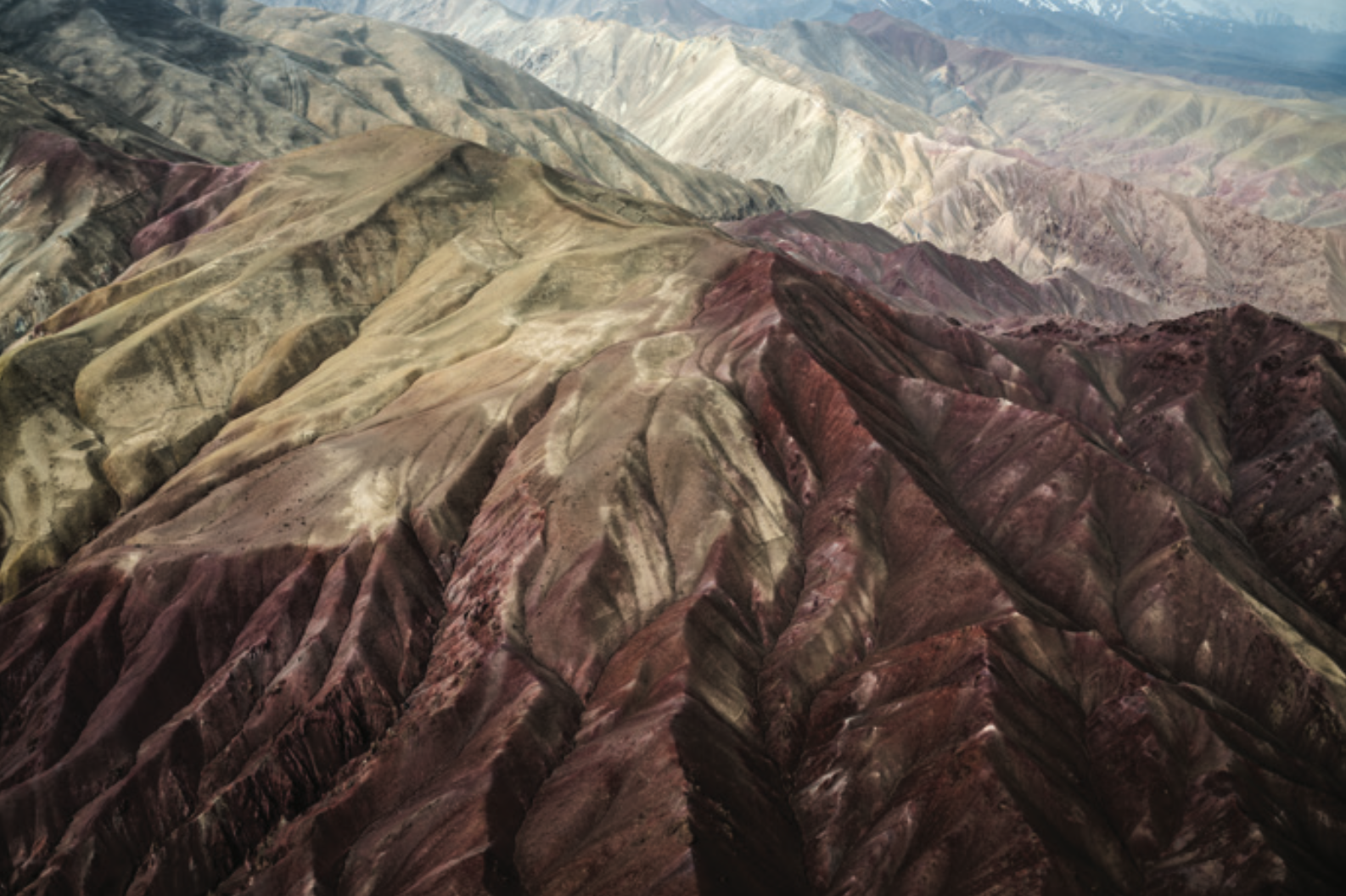 Screenshot 2025-12-23 at 9.17.13 AM