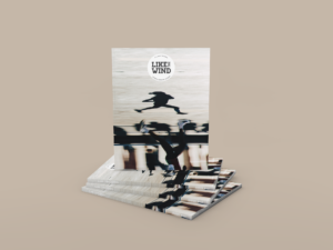 Issue 42 of Like the Wind Running Magazine