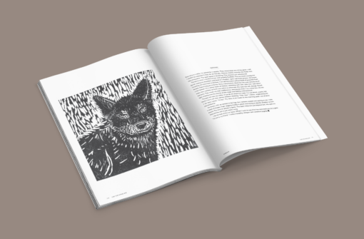 TrailCon Yearly Subscription Offer – Starting with LtW #45 - Image 5