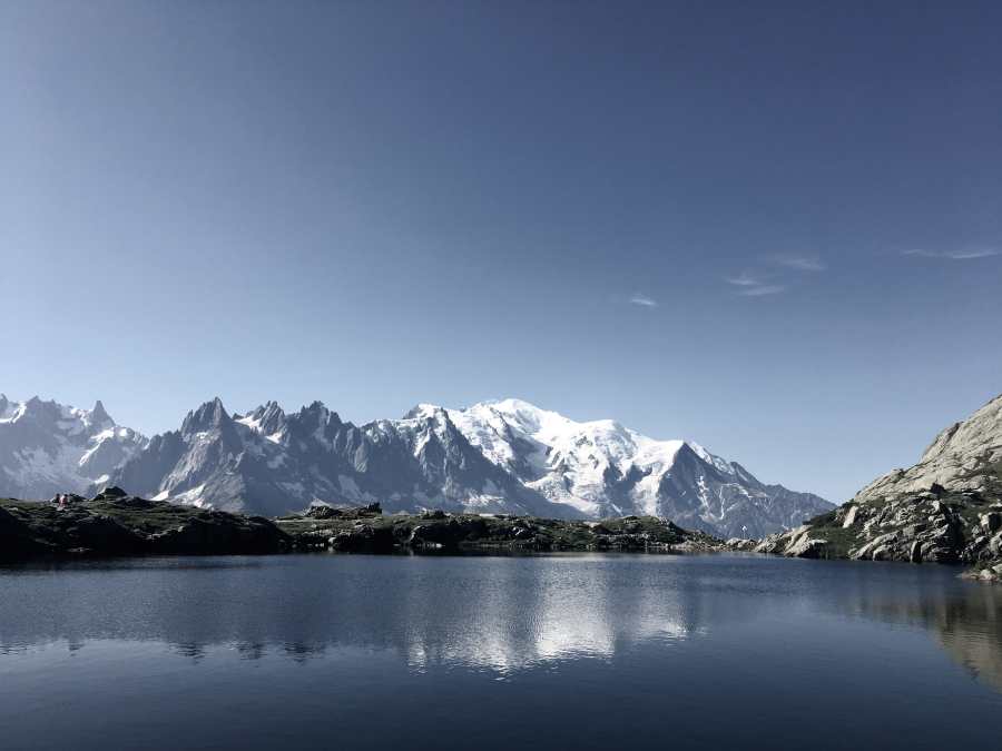 Why We Run – Adrienne Perron