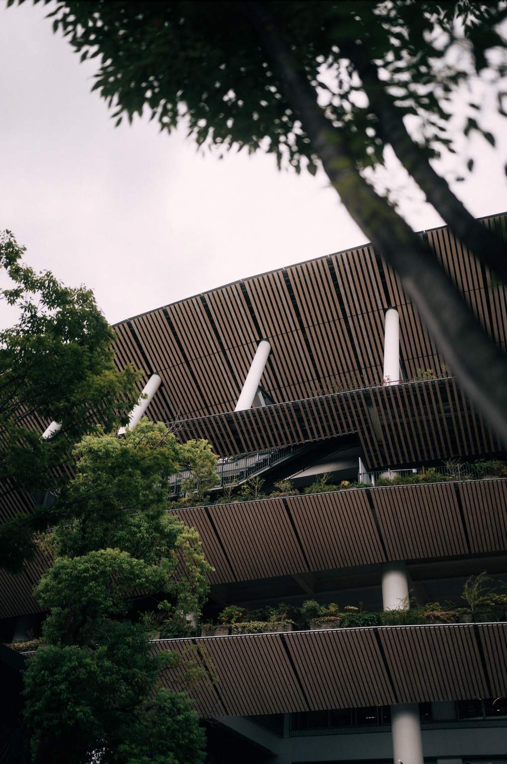 Screenshot2026-01-19at1.52.48P