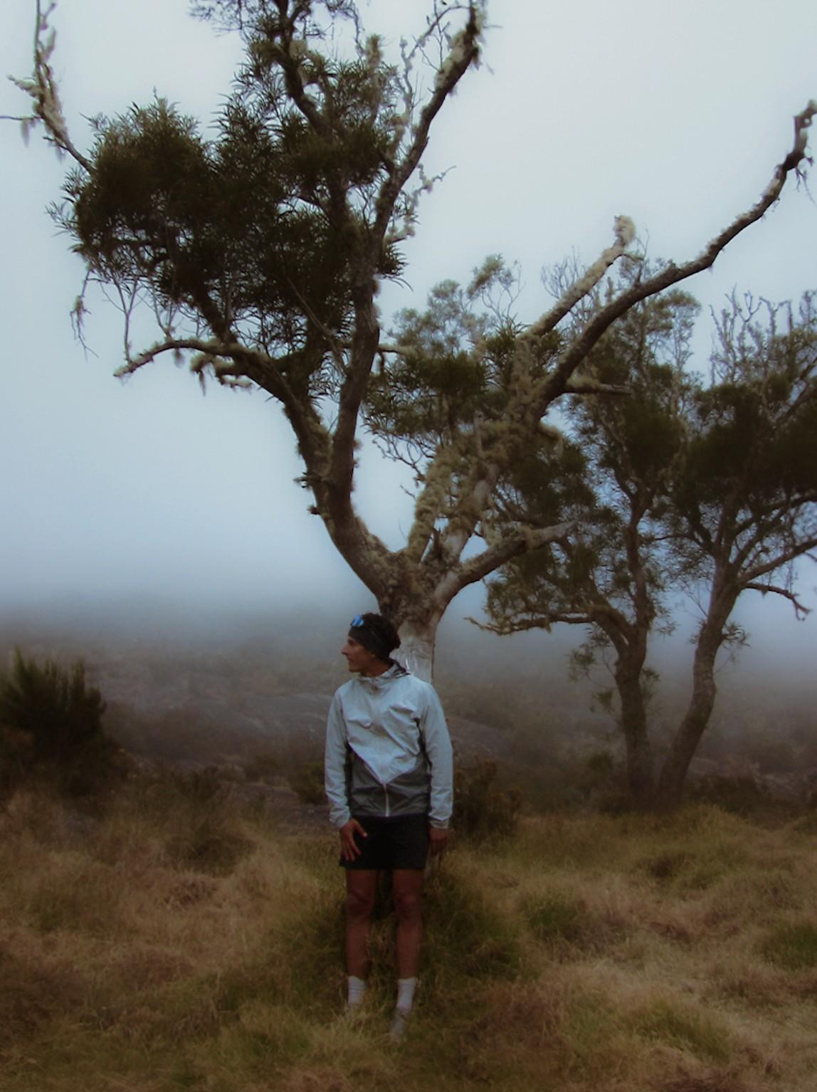 Screenshot2026-02-02at12.42.26P